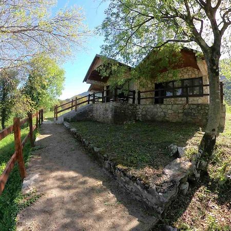 Apartments Svera Danilovgrad Zewnętrze zdjęcie